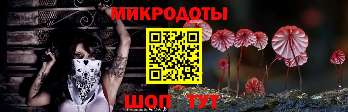 Тамбов  Псилоцибиновые грибы MAGIC MUSHROOMS  Вход с VPN 